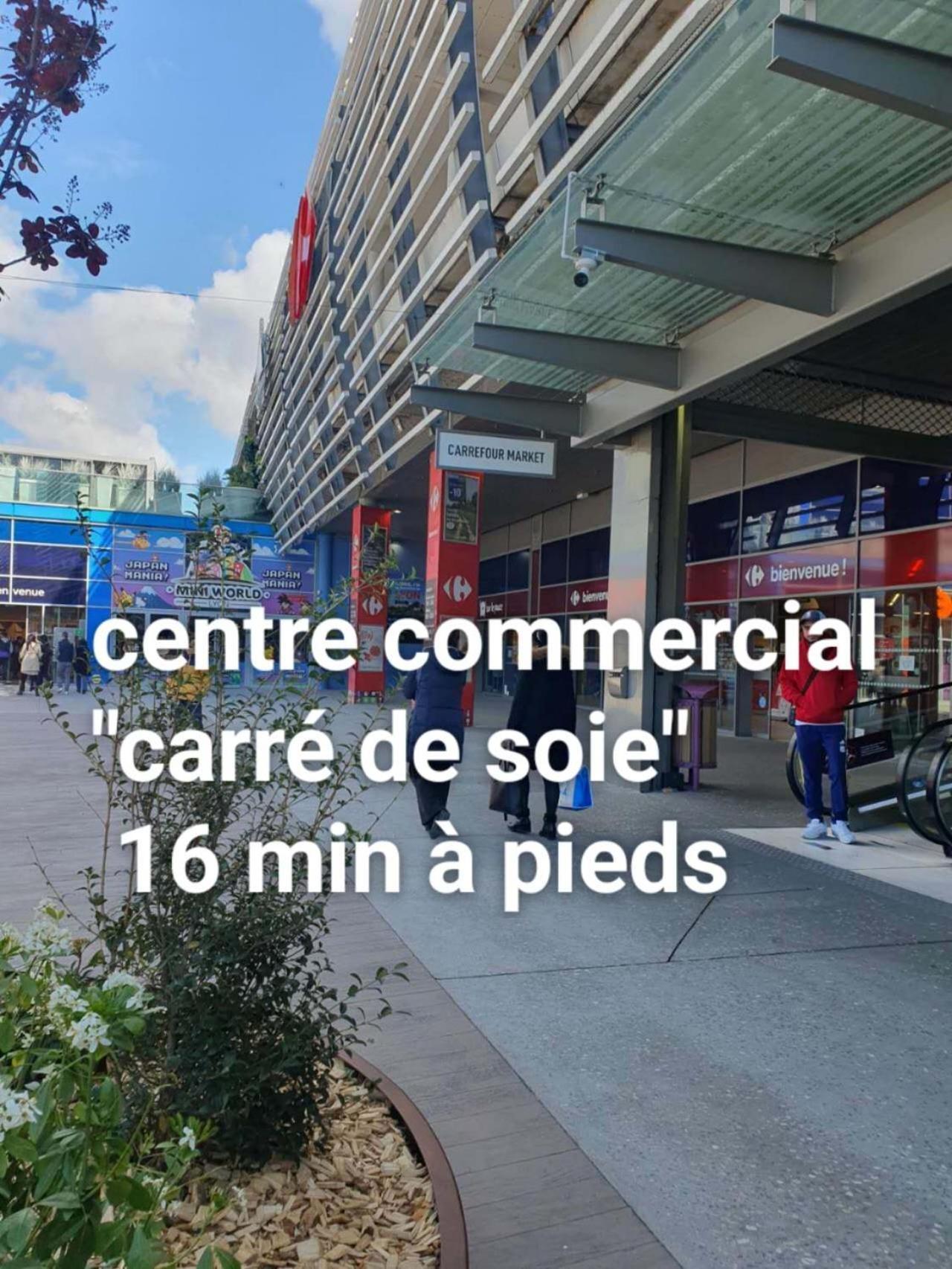 Medipole T2 Avec Un Garage Gratuit Sur Place, 16Min A Centre Ville Lyon En Metro A Villeurbanne Eksteriør billede